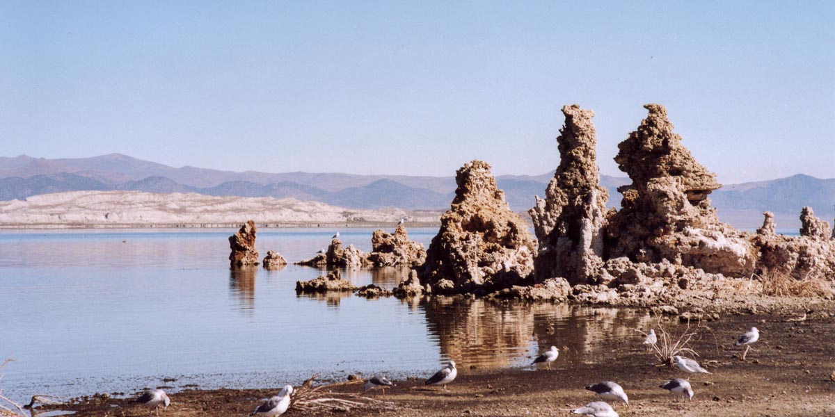 Mono Lake